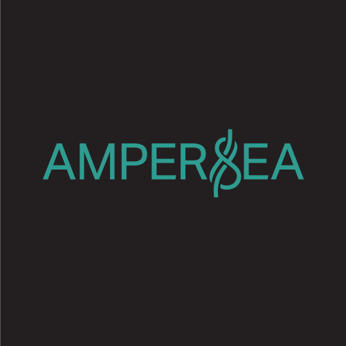 Ampersea Restaurant Website